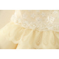 2017 baby girl party dress children frocks designs Lace Sexy Harness Apricot Lovely cotton net birthday party dresses